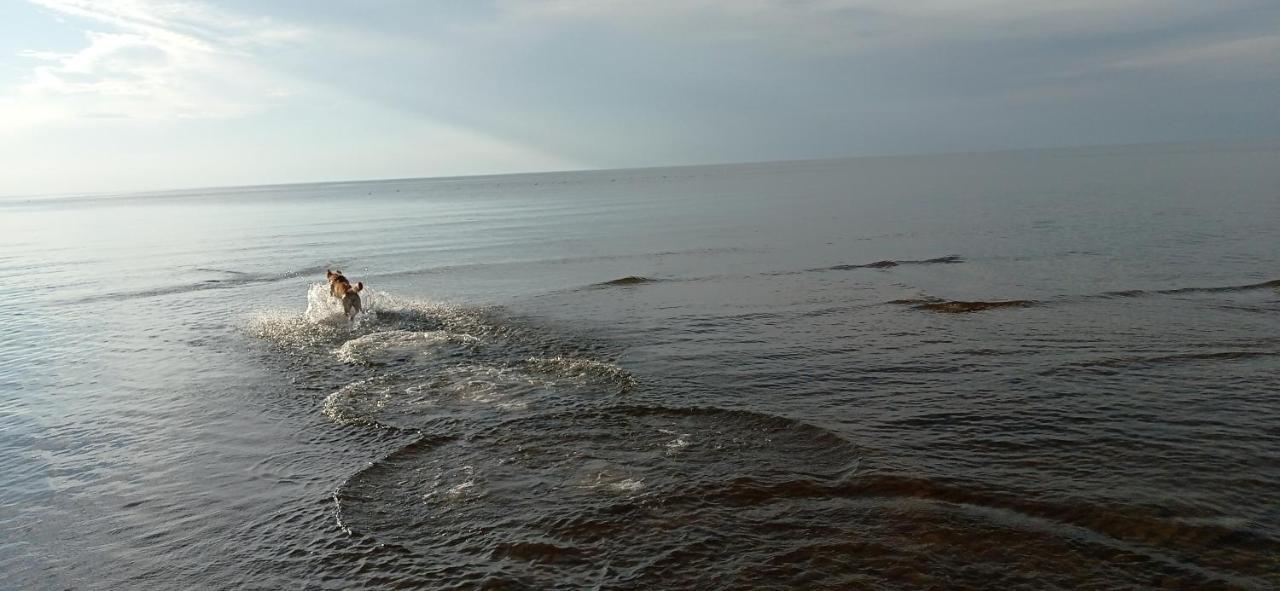 House, Garden & Sauna. Free Parking. Train Stop-200 M. Sea-1 Km. Jūrkalne Exterior foto